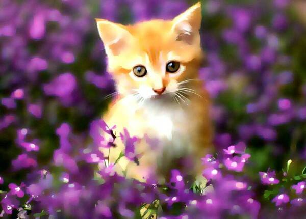 猫咳嗽喉咙有痰