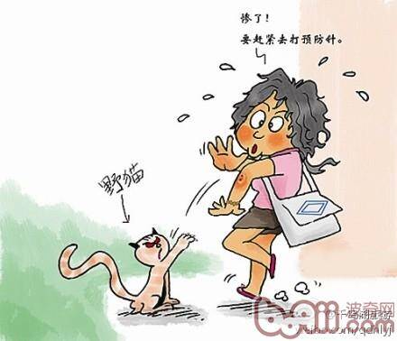 被猫狗咬伤怎么办被狗、猫咬伤、抓伤，怎么办？