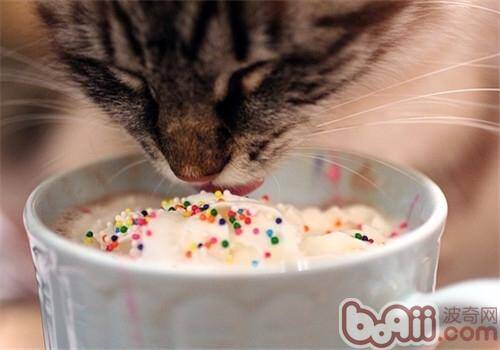 猫咪为什么分辨不出味道呢？
