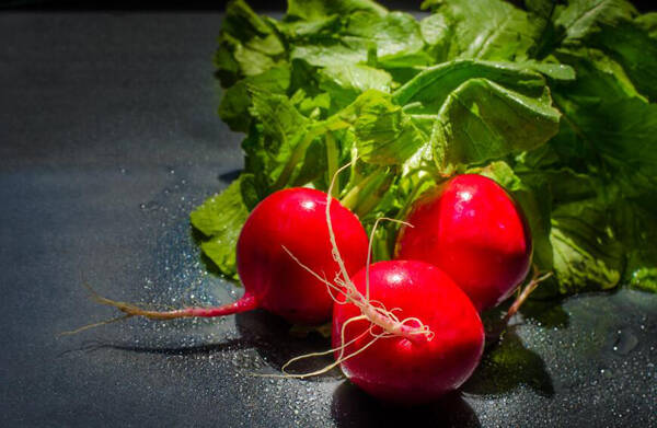 狗可以吃红萝卜吗