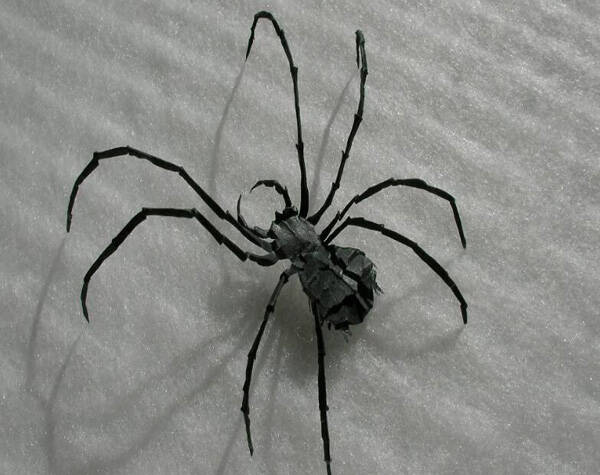 怎么防止蜘蛛爬到床上