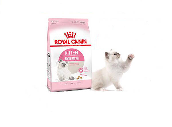 皇家k36猫粮好吗