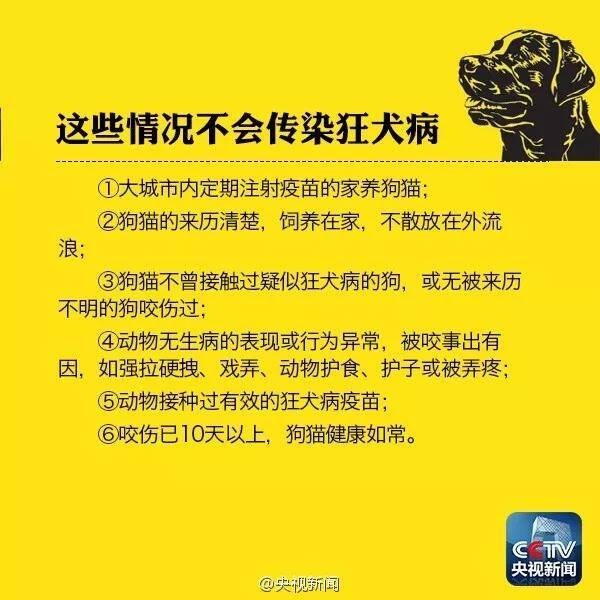 狗咬伤第一时间处理方法 需要打疫苗吗?