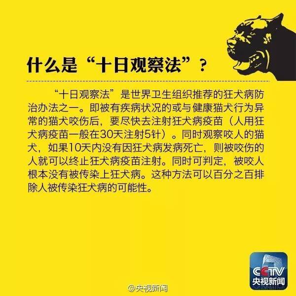 狗咬了多久过安全期没有打针 十日观察法有效吗