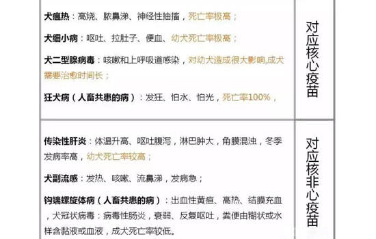 带狗打疫苗注意什么 狗狗注射疫苗全套攻略