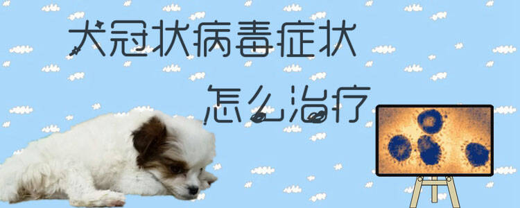 犬冠状病毒症状怎么治疗