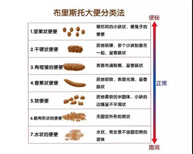 狗狗拉稀是什么原因？ 一篇文章讲透狗狗拉稀！