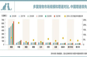 2022年“双十一”宠物相关市场数据报告